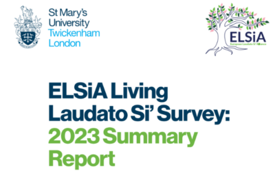 ELSiA survey results: “Ecology is not a passing trend”